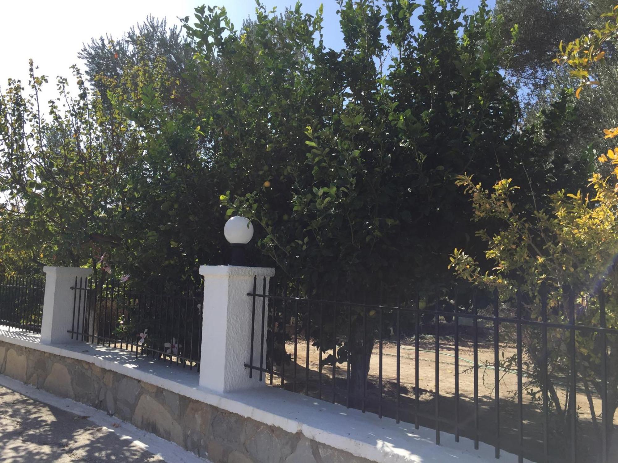 Livanina Apartments Kampos Marathokampou Εξωτερικό φωτογραφία