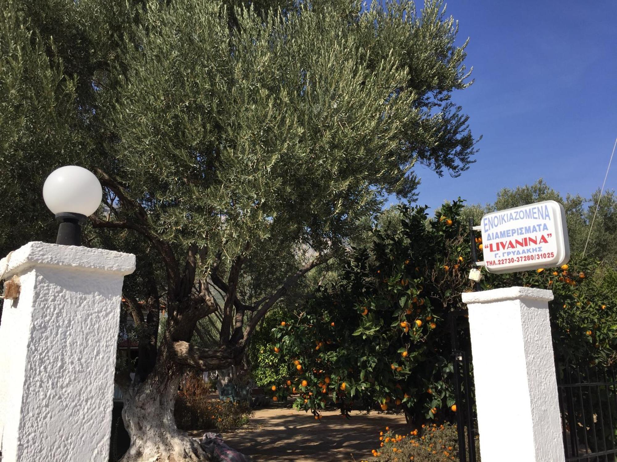 Livanina Apartments Kampos Marathokampou Εξωτερικό φωτογραφία