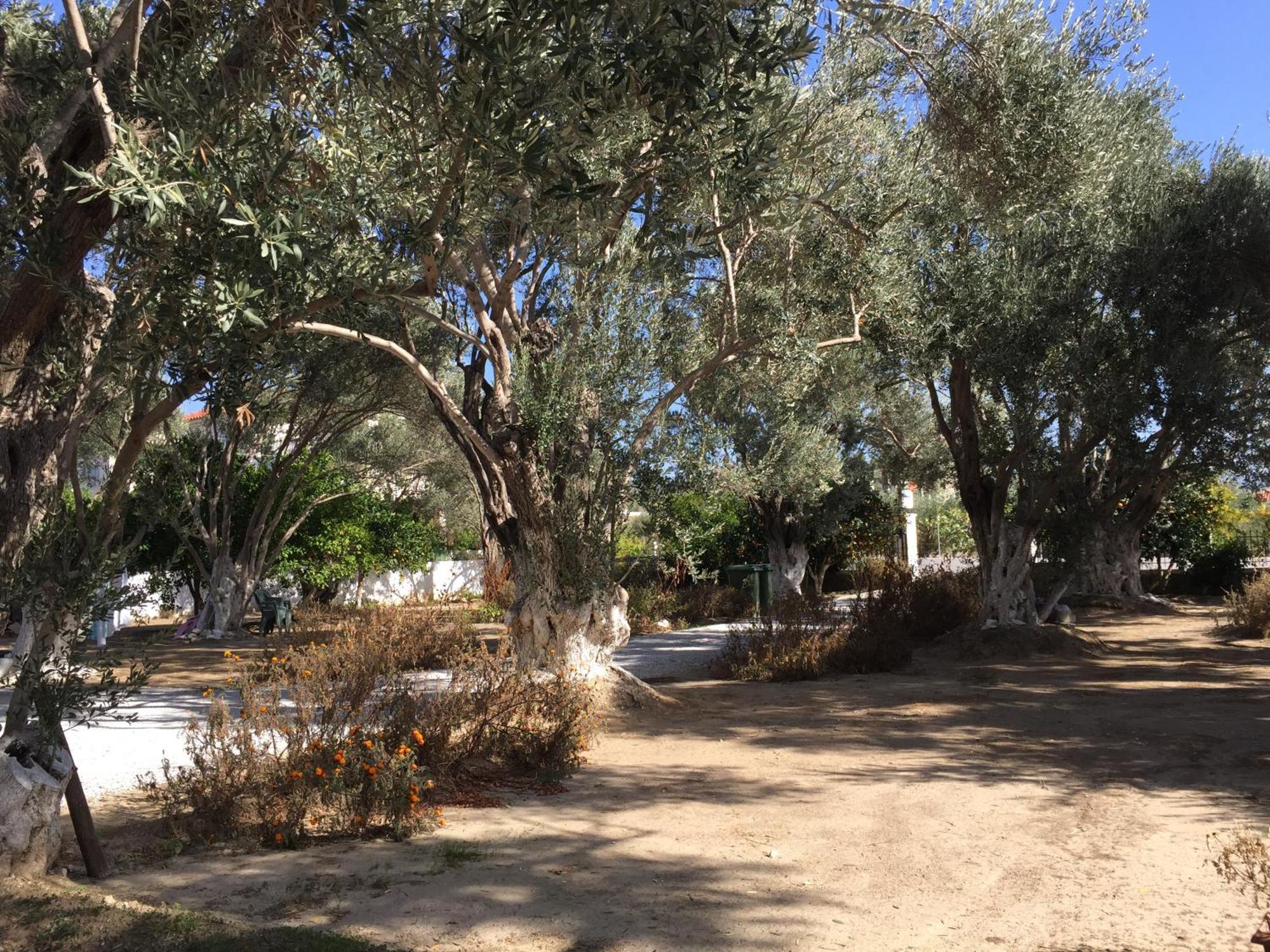 Livanina Apartments Kampos Marathokampou Εξωτερικό φωτογραφία